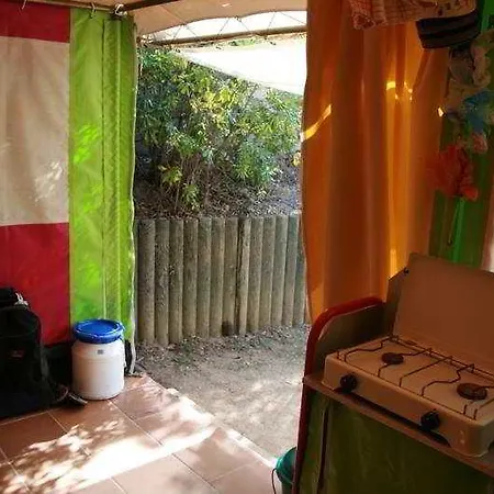 Pola 4*